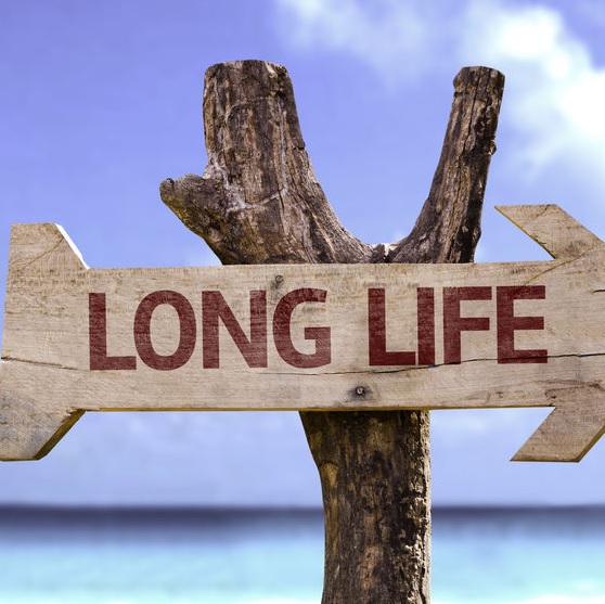 Het tweede leven van meubels, tweedehands: Hoe het verleden de toekomst wordt